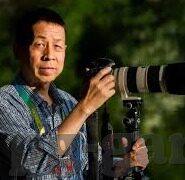 全球足球捷报比分网-深度揭秘，全球足球捷报比分网——球迷的掌中宝与足球世界的数字窗口