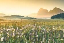 实时比分足球-实时比分足球，科技赋能，重塑观赛新体验