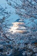 直播足球实时比分-直播足球实时比分，一场跨越时空的激情盛宴