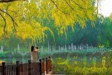 足球欧洲比分预测-揭秘足球欧洲赛事比分预测，科学与艺术的完美融合
